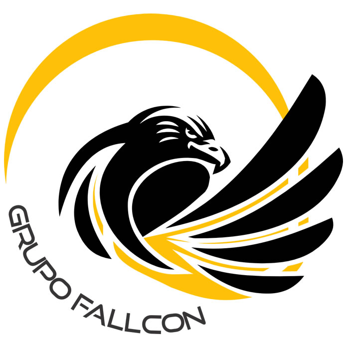 Grupo Fallcon